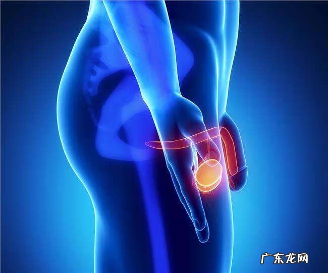 精子质量正常参考值 精液常规