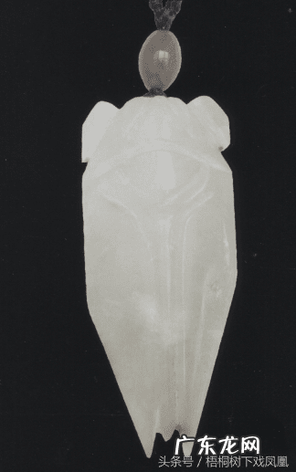 蚕宝宝吐水是什么原因 蝉吐水风水的寓意