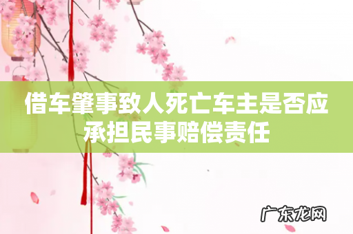 借车肇事致人死亡车主是否应承担民事赔偿责任