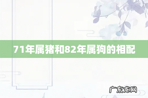 71年属猪和82年属狗的相配