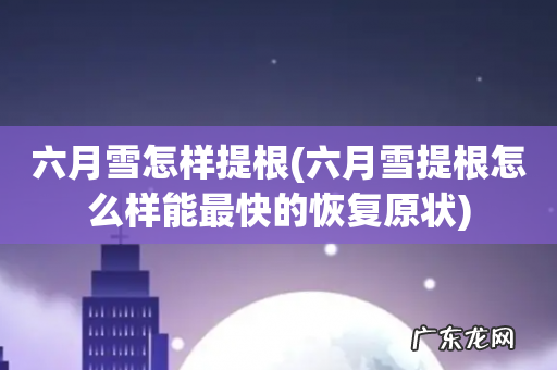 六月雪提根怎么样能最快的恢复原状 六月雪怎样提根