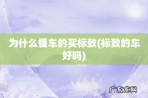 标致的车好吗 为什么懂车的买标致