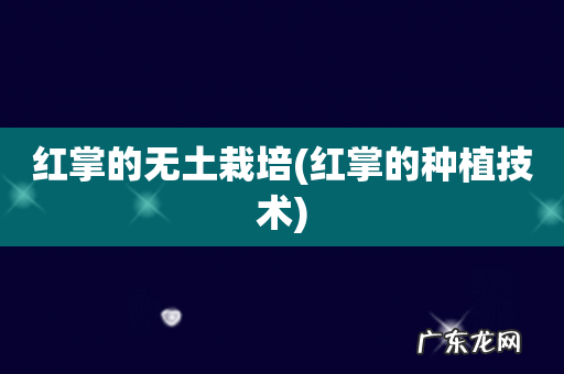 红掌的种植技术 红掌的无土栽培