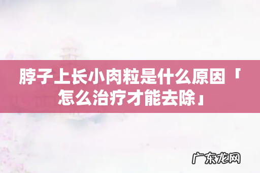 脖子上长小肉粒是什么原因「怎么治疗才能去除」