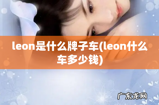 leon什么车多少钱 leon是什么牌子车