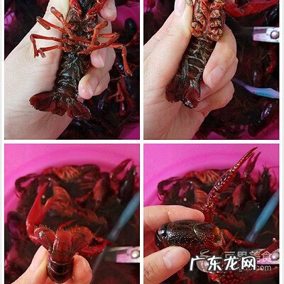 麻辣大闸蟹 麻辣龙虾