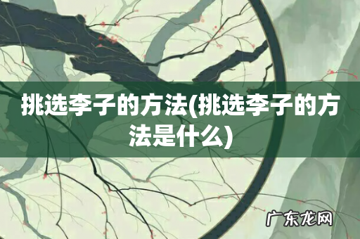 挑选李子的方法是什么 挑选李子的方法