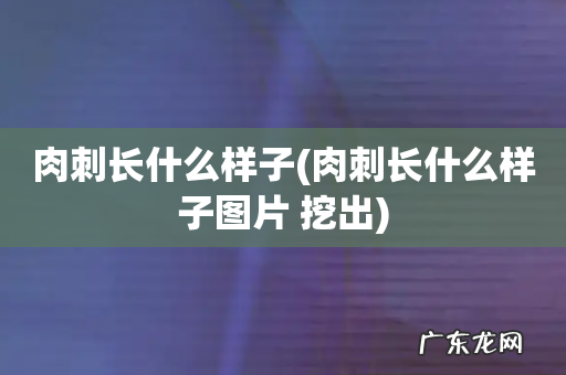 肉刺长什么样子图片 挖出 肉刺长什么样子