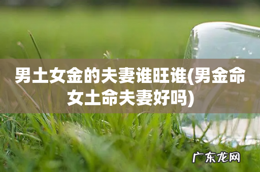 男金命女土命夫妻好吗 男土女金的夫妻谁旺谁