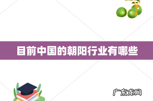 目前中国的朝阳行业有哪些
