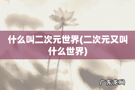 二次元又叫什么世界 什么叫二次元世界