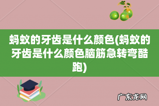 蚂蚁的牙齿是什么颜色脑筋急转弯酷跑 蚂蚁的牙齿是什么颜色