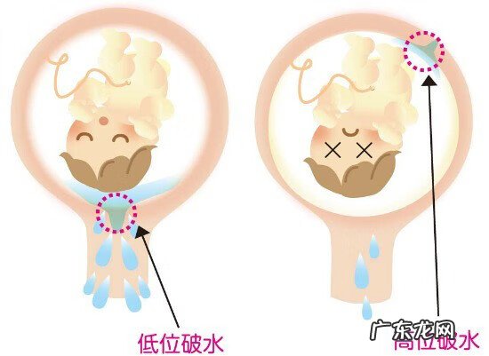 临产前还会有胎动吗 临产前胎动厉害是要生了吗