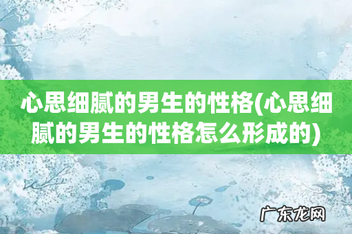 心思细腻的男生的性格怎么形成的 心思细腻的男生的性格