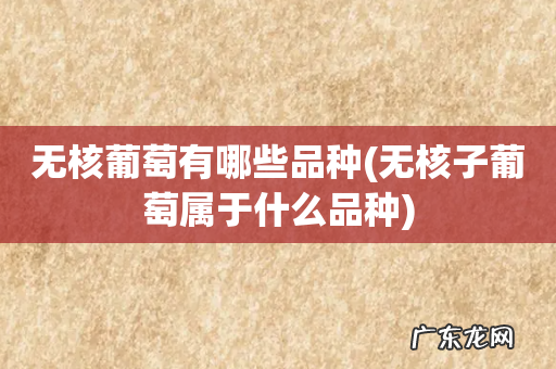无核子葡萄属于什么品种 无核葡萄有哪些品种