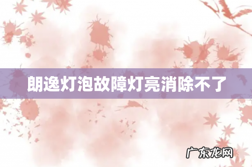 朗逸灯泡故障灯亮消除不了