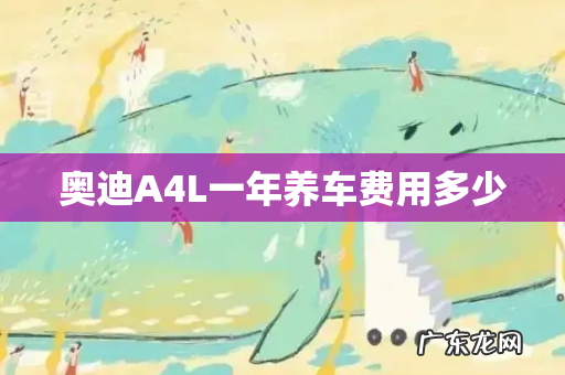 奥迪A4L一年养车费用多少