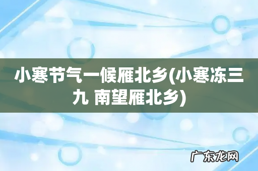 小寒冻三九 南望雁北乡 小寒节气一候雁北乡