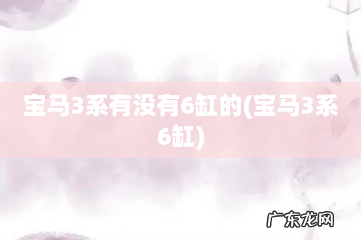 宝马3系6缸 宝马3系有没有6缸的