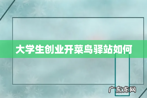 大学生创业开菜鸟驿站如何