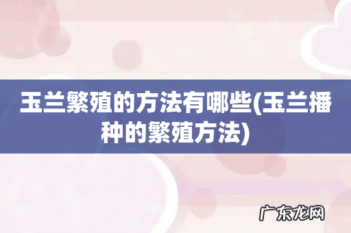 玉兰播种的繁殖方法 玉兰繁殖的方法有哪些