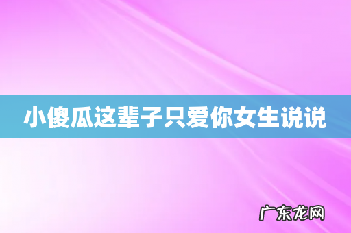 小傻瓜这辈子只爱你女生说说