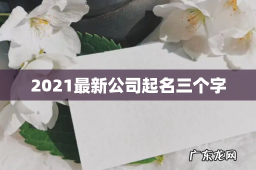 2021最新公司起名三个字