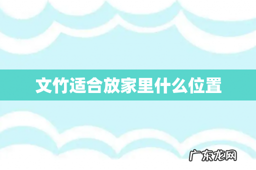 文竹适合放家里什么位置