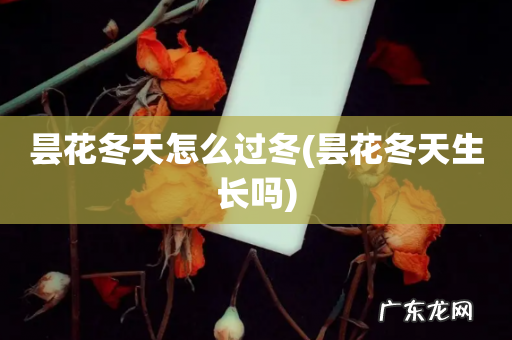 昙花冬天生长吗 昙花冬天怎么过冬