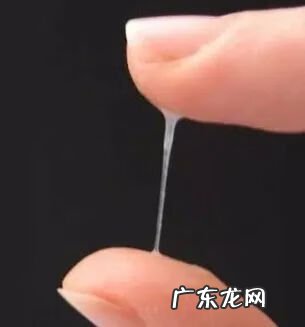 排卵期没有拉丝正常吗 排卵期没拉丝是不是没排卵