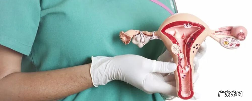 排卵期没有拉丝正常吗 排卵期没拉丝是不是没排卵