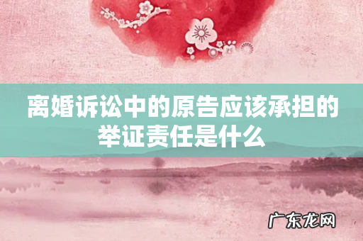 离婚诉讼中的原告应该承担的举证责任是什么