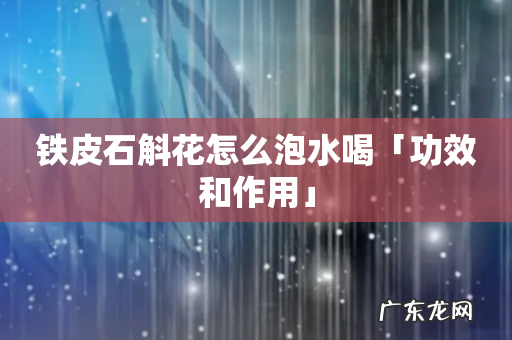 铁皮石斛花怎么泡水喝「功效和作用」