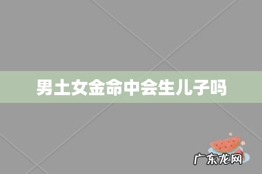 男土女金命中会生儿子吗
