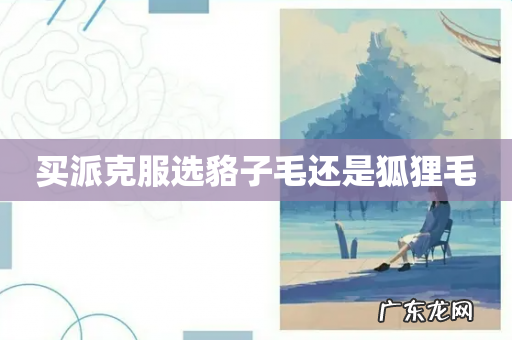 买派克服选貉子毛还是狐狸毛