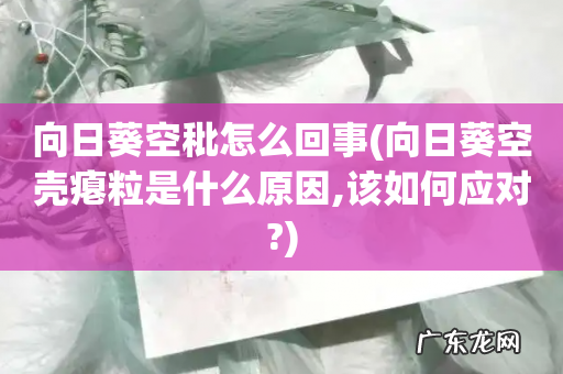 向日葵空壳瘪粒是什么原因,该如何应对? 向日葵空秕怎么回事