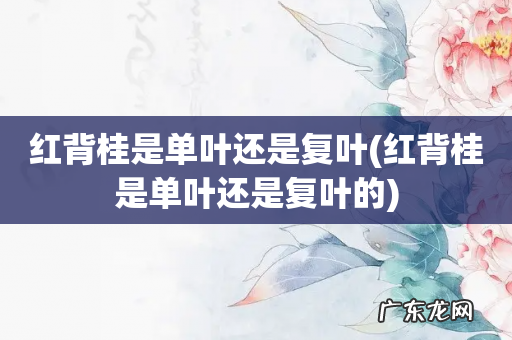 红背桂是单叶还是复叶的 红背桂是单叶还是复叶