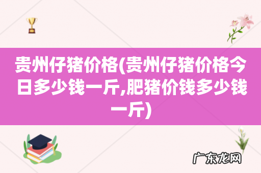 贵州仔猪价格今日多少钱一斤,肥猪价钱多少钱一斤 贵州仔猪价格
