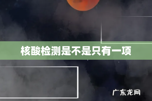 核酸检测是不是只有一项