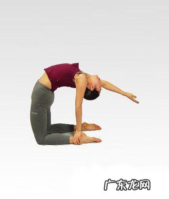 瑜伽瘦腿瘦肚子最有效的动作 瘦腿的瑜伽动作