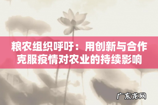粮农组织呼吁：用创新与合作克服疫情对农业的持续影响