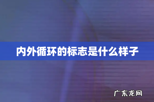 内外循环的标志是什么样子