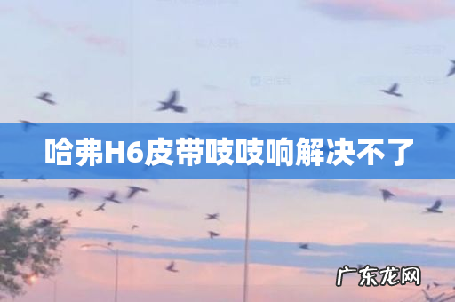 哈弗H6皮带吱吱响解决不了