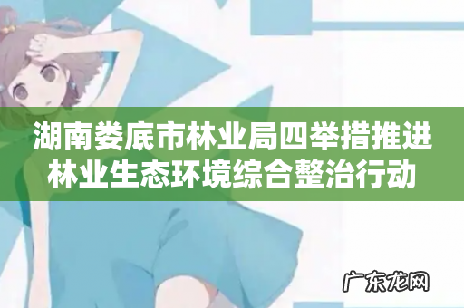 湖南娄底市林业局四举措推进林业生态环境综合整治行动