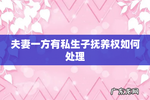 夫妻一方有私生子抚养权如何处理