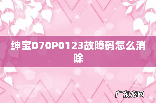 绅宝D70P0123故障码怎么消除