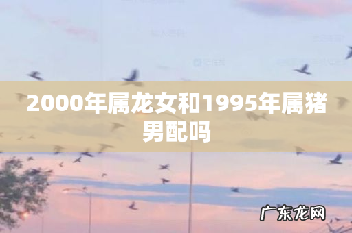 2000年属龙女和1995年属猪男配吗