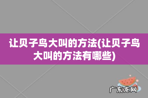 让贝子鸟大叫的方法有哪些 让贝子鸟大叫的方法