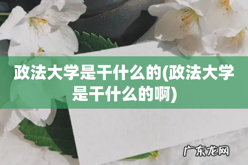 政法大学是干什么的啊 政法大学是干什么的