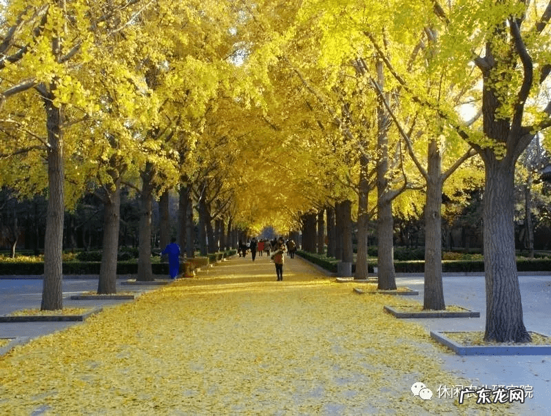 感觉我的这个农场风水很好